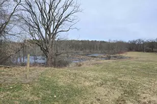12409 Bellevue Rd, Battle Creek, MI 49014 - Photo 27
