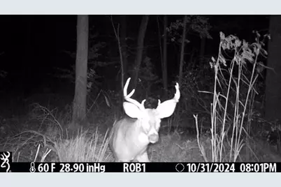 12409 Bellevue Road, Battle Creek, MI 49014 - Photo 37