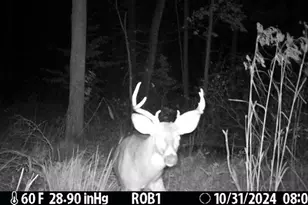 12409 Bellevue Rd, Battle Creek, MI 49014 - Photo 37