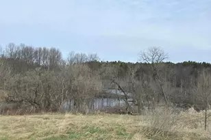 12409 Bellevue Rd, Battle Creek, MI 49014 - Photo 25