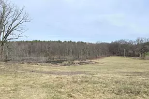 12409 Bellevue Rd, Battle Creek, MI 49014 - Photo 29