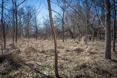 300 Woodstock Street #5 Acres, Cement City, MI 49233 - Photo 33