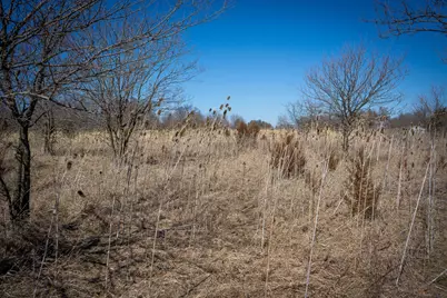 300 Woodstock Street #5 Acres, Cement City, MI 49233 - Photo 25
