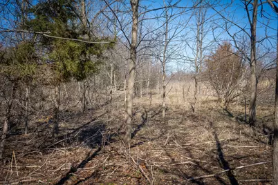 300 Woodstock Street #3.32 Acres, Cement City, MI 49233 - Photo 47