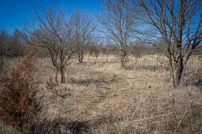 300 Woodstock Street #3.32 Acres, Cement City, MI 49233 - Photo 17