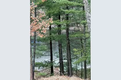 00 Perch Lake Drive, Bitely, MI 49309 - Photo 5