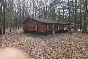 8099 E Johnson Rd, Branch, MI 49402 - Photo 1