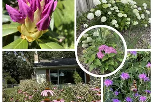 3256 Dorais Dr NE, Grand Rapids, MI 49525 - Photo 39