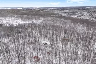 00 W Falmouth Rd, Cadillac, MI 49601 - Photo 13