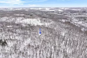 00 W Falmouth Rd, Cadillac, MI 49601 - Photo 15