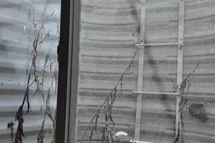 34387 Ann Arbor Trail, Livonia, MI 48150 - Photo 55