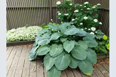 19 Westbury Court, Ann Arbor, MI 48105 - Photo 81