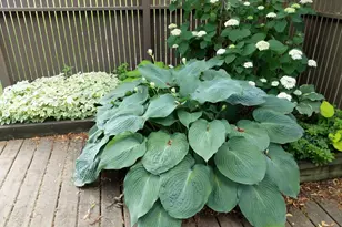 19 Westbury Ct, Ann Arbor, MI 48105 - Photo 81