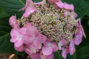 19 Westbury Ct, Ann Arbor, MI 48105 - Photo 85