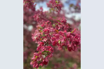 134 Doster Road, Plainwell, MI 49080 - Photo 29