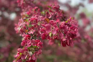 134 Doster Rd, Plainwell, MI 49080 - Photo 29