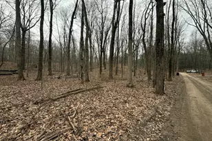 0 Wheat Ln, Lowell, MI 49331 - Photo 1