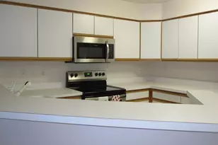 1419 Millbrook Trail, Ann Arbor, MI 48108 - Photo 3