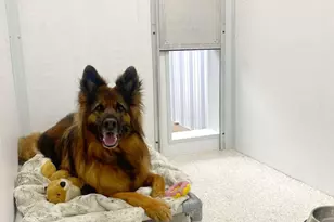 419 S Juniper St NE, Edmore, MI 48829 - Photo 25