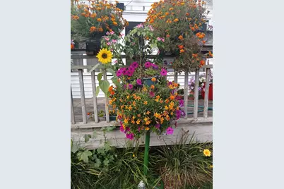 2489 10 Mile Road NW, Sparta, MI 49345 - Photo 51