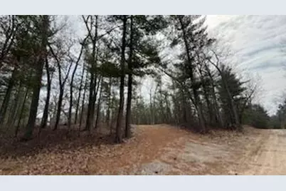 0 Mohawk Street, Pentwater, MI 49449 - Photo 7