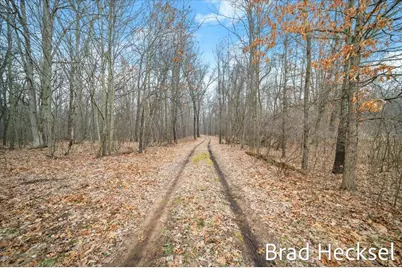 14156 Division Avenue NE, Cedar Springs, MI 49319 - Photo 5