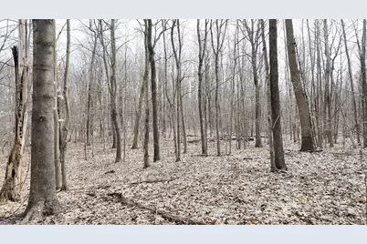 5371 Jensen Road, Fruitport, MI 49415 - Photo 5