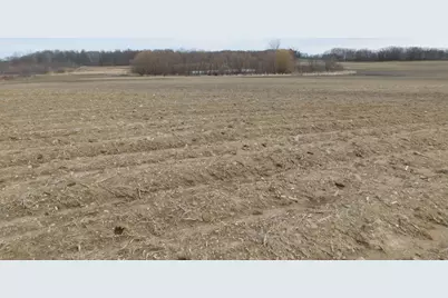 Cox Road, Bellevue, MI 49021 - Photo 7