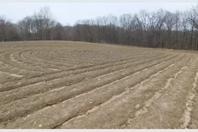 Cox Road, Bellevue, MI 49021 - Photo 1