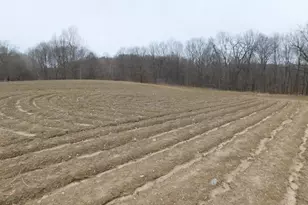 Cox Rd, Bellevue, MI 49021 - Photo 1