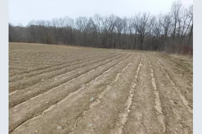 Cox Road, Bellevue, MI 49021 - Photo 5