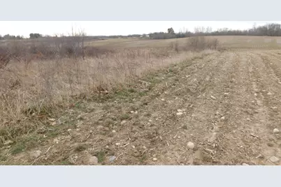 Cox Road, Bellevue, MI 49021 - Photo 3