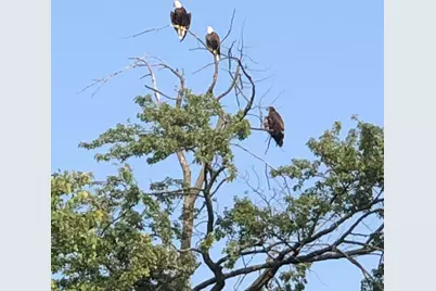 7022 Strawberry Lane, Clarksville, MI 48815 - Photo 63