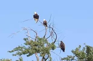 7022 Strawberry Ln, Clarksville, MI 48815 - Photo 63