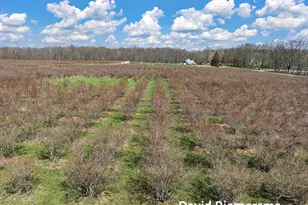 466 27th St, Allegan, MI 49010 - Photo 17