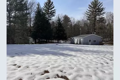 11071 N Gladys Lane, Irons, MI 49644 - Photo 1