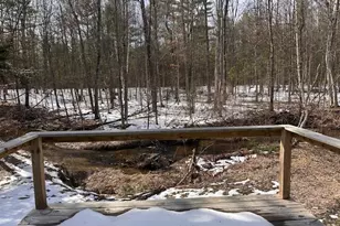 11071 N Gladys Ln, Irons, MI 49644 - Photo 5