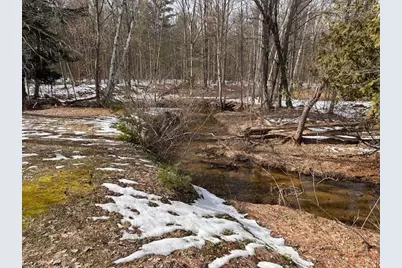 11071 N Gladys Lane, Irons, MI 49644 - Photo 19