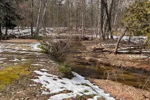 11071 N Gladys Ln, Irons, MI 49644 - Photo 19