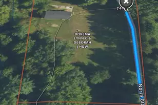 11071 N Gladys Ln, Irons, MI 49644 - Photo 23