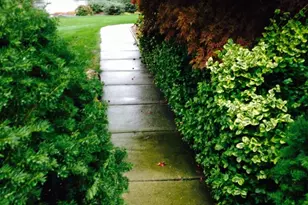 4981 St Annes Ct, Ann Arbor, MI 48103 - Photo 81