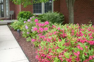 4981 St Annes Ct, Ann Arbor, MI 48103 - Photo 71