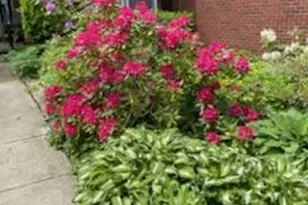 4981 St Annes Ct, Ann Arbor, MI 48103 - Photo 73