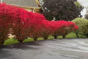 4981 St Annes Ct, Ann Arbor, MI 48103 - Photo 75