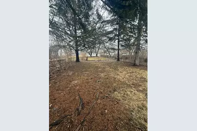 9244 Heyden, Detroit, MI 48228 - Photo 3