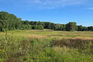7202 21 Mile Rd, Evart, MI 49631 - Photo 59