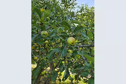 7202 21 Mile Road, Evart, MI 49631 - Photo 59