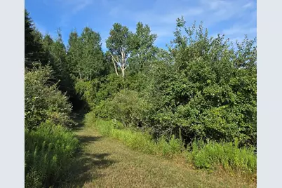 7202 21 Mile Road, Evart, MI 49631 - Photo 55