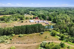 7202 21 Mile Rd, Evart, MI 49631 - Photo 23