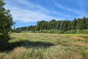 7202 21 Mile Rd, Evart, MI 49631 - Photo 65